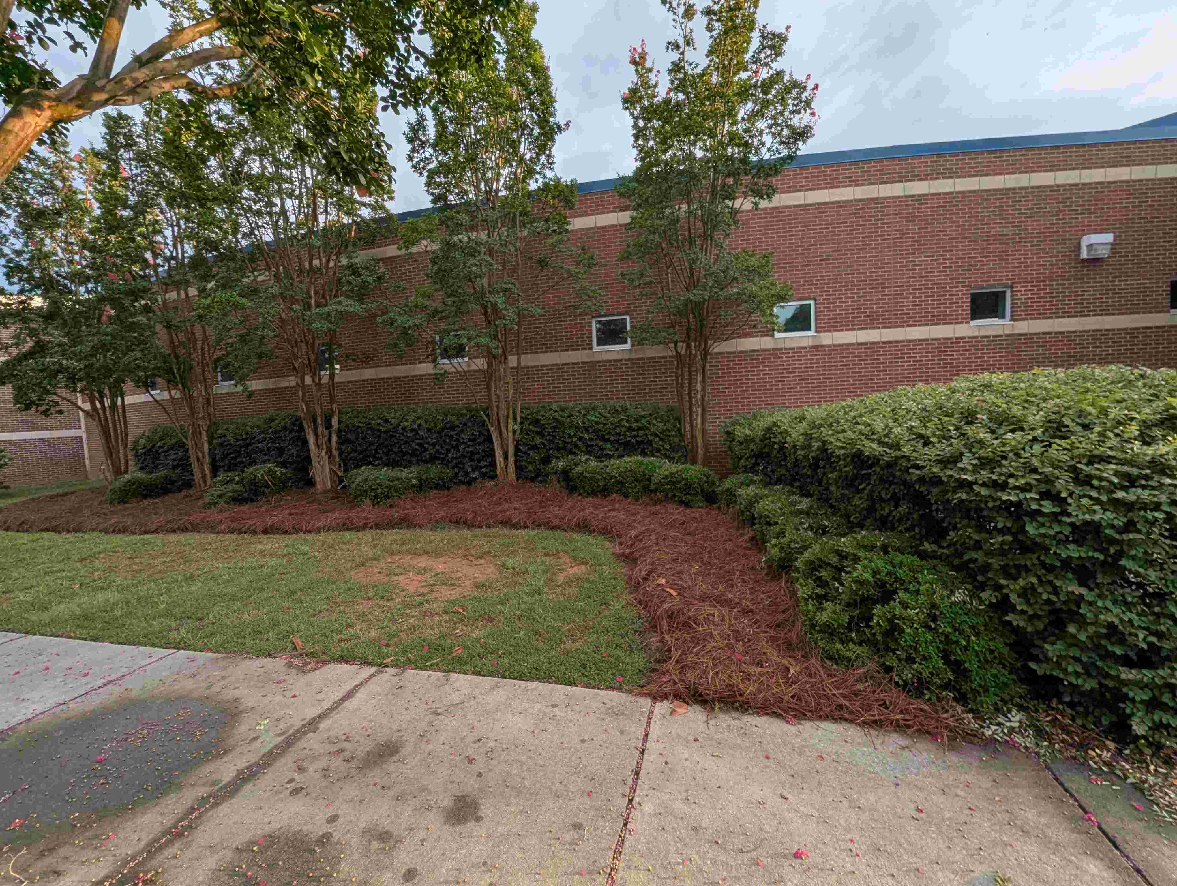 Commercial Landscaping